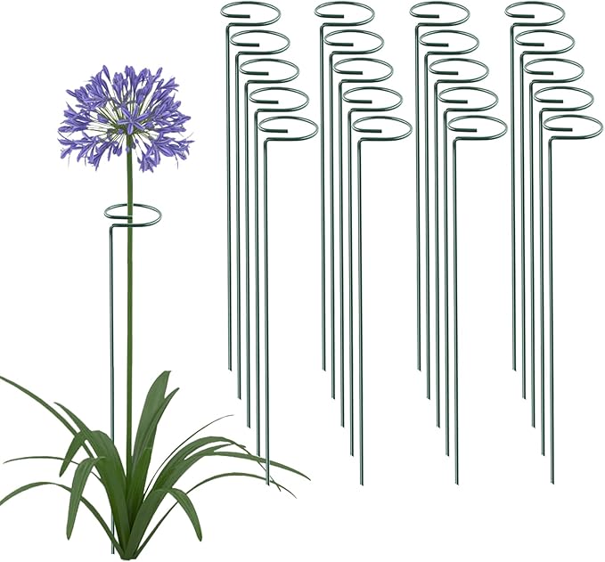 Thealyn 20 Pack 16 Inch Plant Support Stakes, Metal Single stemmed Flower Support Hoops，Garden Plant Stakes Plant Prop for Amaryllis Orchid Lily Rose Peony Tomatoes Gladiolus