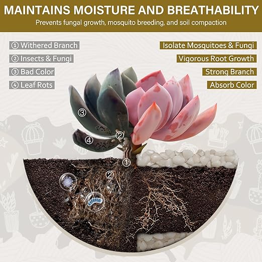 NUPICK 3 lbs Pebbles for Indoor Plants, 3/8 Inch Pea Gravel for Fish Tank, Polished Decorative Rocks for Succulent, Natural River Stones for Vases, Cactus, Landscaping, Bird Bath, Aquarium, White