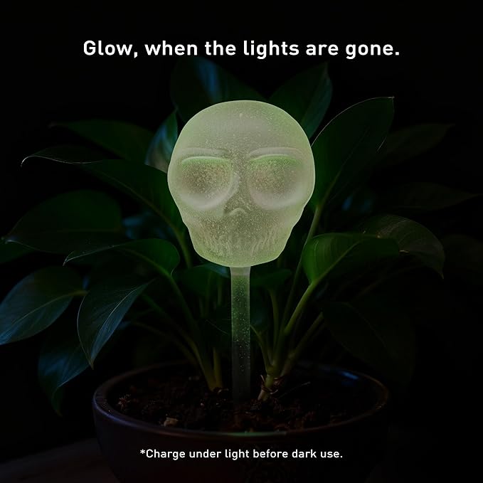 Soilagua 10 oz Glow-in-The-Dark Smiling Cute Skull Glass Plant Watering Globes, Halloween Goth Water Bulbs, Gothic Plant Self Watering Devices, Self Watering Planter Insert Plant Waterer, 2 Pack