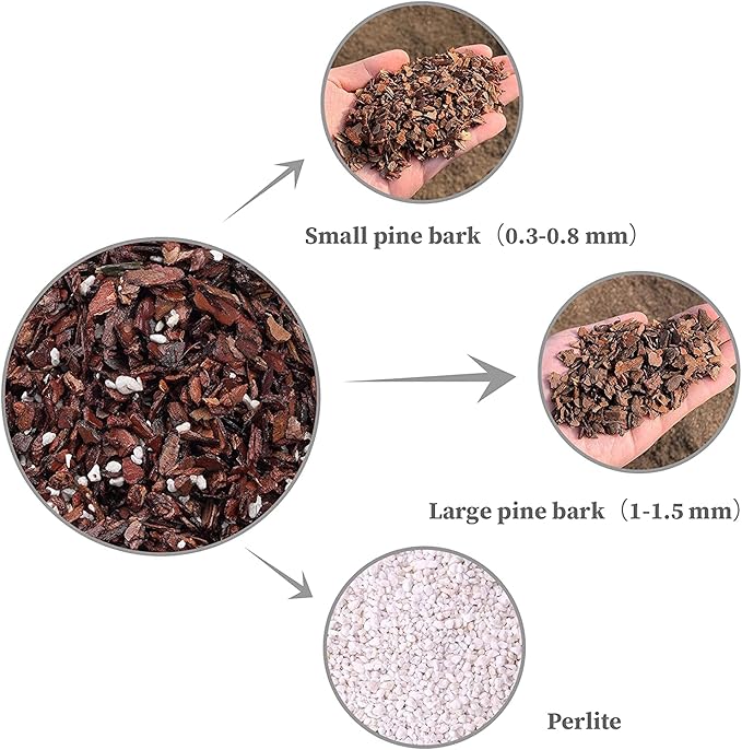 Doter All Purpose Orchid Soil Potting Mix - Orchid Bark & Organic Perlite for Plants - All Natural Potting Soil Media Has Good Drainage for Planting or Orchid Repotting (2 qt)
