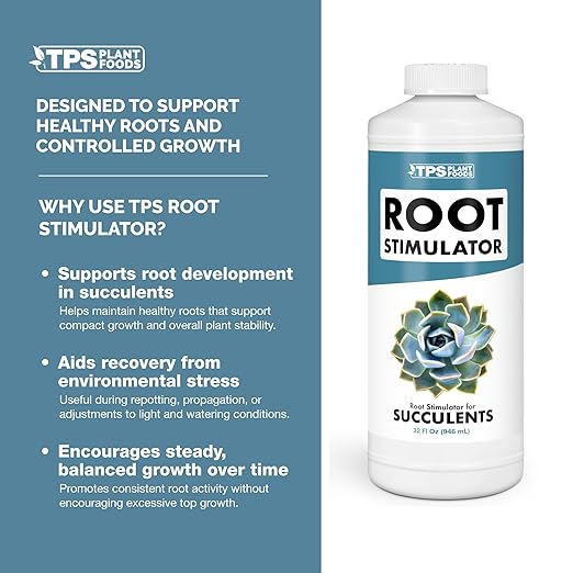 Root Stimulator for Succulents – Liquid Root Supplement with Kelp & Probiotics for Stronger Roots & Improved Water Efficiency, 8 oz