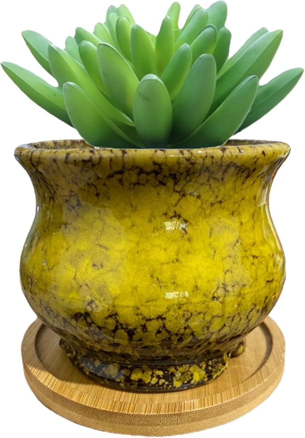 Cute Circular Ceramic Home Garden Decoration Succulent Cactus Flower Pots Container with Bamboo Tray -Plant Not Included (Yellow, 3.94 Inch)