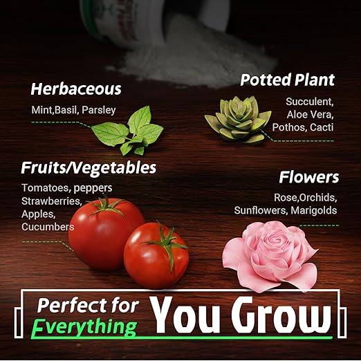 Dr. Raifya's Mycorrhizal Fungi Inoculant, 10X Concentrated, Up to 150 Plants–Organic Root Stimulator to Strengthen Roots, Enhance Growth & Increase Yield, Safe for Vegetables, Flowers & Fruits, 8oz