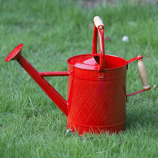 1 Gallon Watering Can, Red, Galvanized, Metal Watering Can with Removable Spout, Perfect Water Can for Indoor & Outdoor Plants