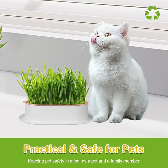Hydroponic Cat Grass Growing Kit with Germination Tray - Indoor Gardening System for Pets, Soil-Free Planter Without Seeds