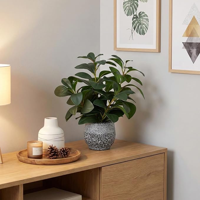 SHOHAYTO Artificial Plants for Home Decor - 13.2 Inch Fake Ficus Tree in Cement Planter, Real Looking Potted Faux Plants for Office Desk, Kitchen Shelf, Bookshelf & Indoor Decor