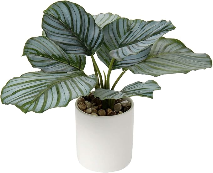 Briful Small Fake Plant 13" Faux Calathea Plants Indoor Artificial Potted Plant in White Ceramic Greenery House Plant for Home Table Office Bathroom Shelf Living Room Desk Decoration