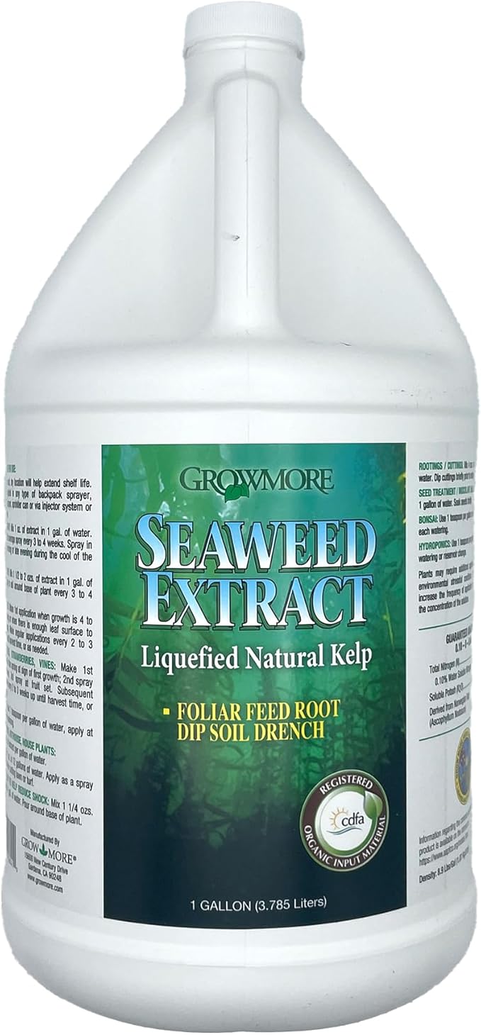 Grow More Liquified Seaweed Extract Fertilizer for Plants - 1 Gallon of Liquefied Natural Liquid Kelp Fertilizer - 11% Organic Kelp Plant Food for Transplant Protection & Root Development