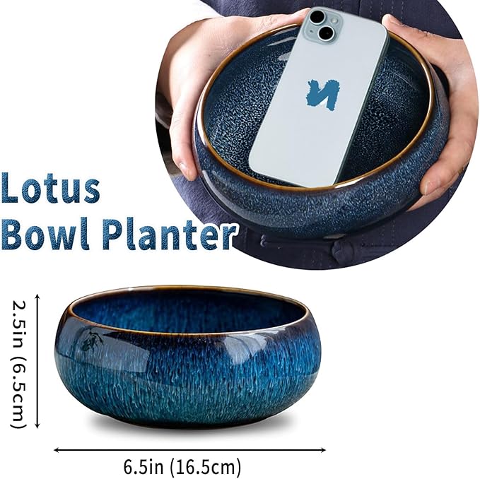 Oncpcare Lotus Bowl Planter – Glazed Ceramic Indoor Plant Bowl Lotus Pot for Lotus Seeds, Bonsai, Succulents | Shallow Hydroponic Decorative Oriental Flower Bowl (Green)