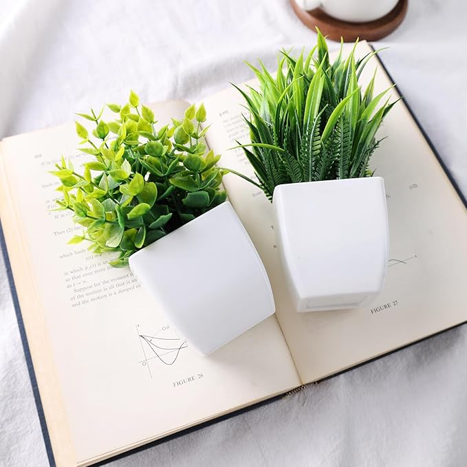 DomeStar 2PCS Fake Plants Indoor - Small Faux Potted Greenery for Home Decor, Desk, Shelf, Kitchen, Office & Bathroom Decor