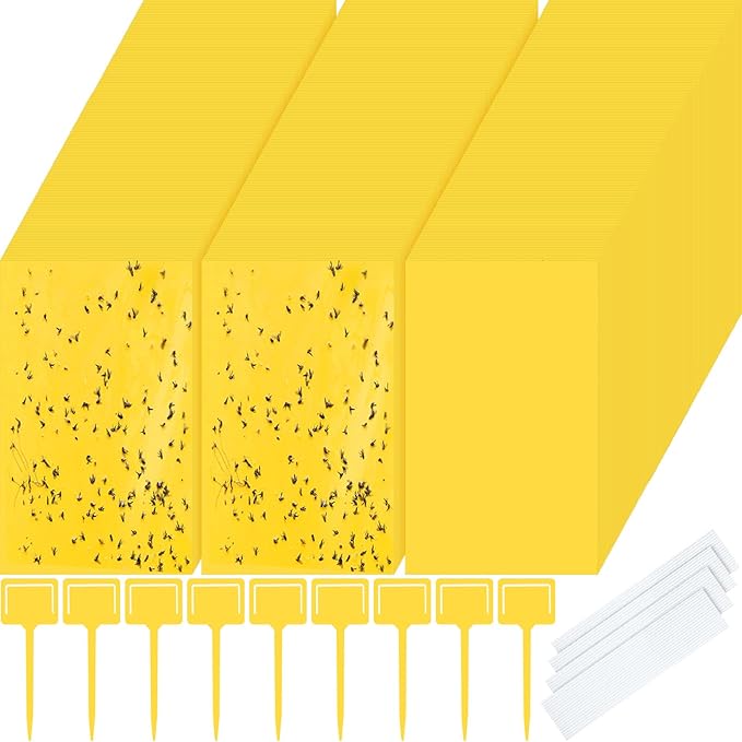 Qualirey 400 Pcs 6 x 8 Inch Sticky Traps for Gnats Dual Sided Fruit Fly Sticky Traps for Indoor and Outdoor Plant with Twist Ties and Plastic Holders for Flying Plant Insect, Fungus Gnats (Yellow)
