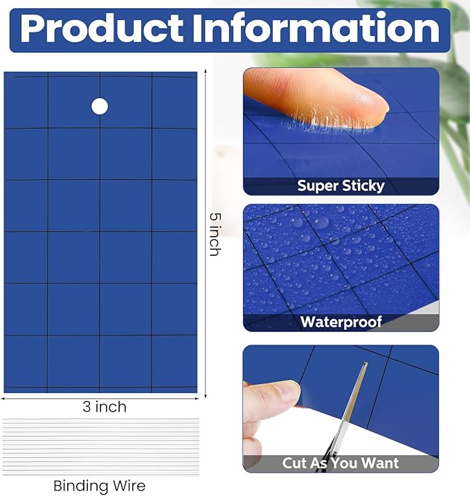 Qualirey 100 Sticky Trap for Gnats 3 x 5'' Dual Side Sticky Fruit Fly Trap with Tie Plant for Flying Insect Fungus Bugs Flying Catcher for Indoor (Dark Blue)