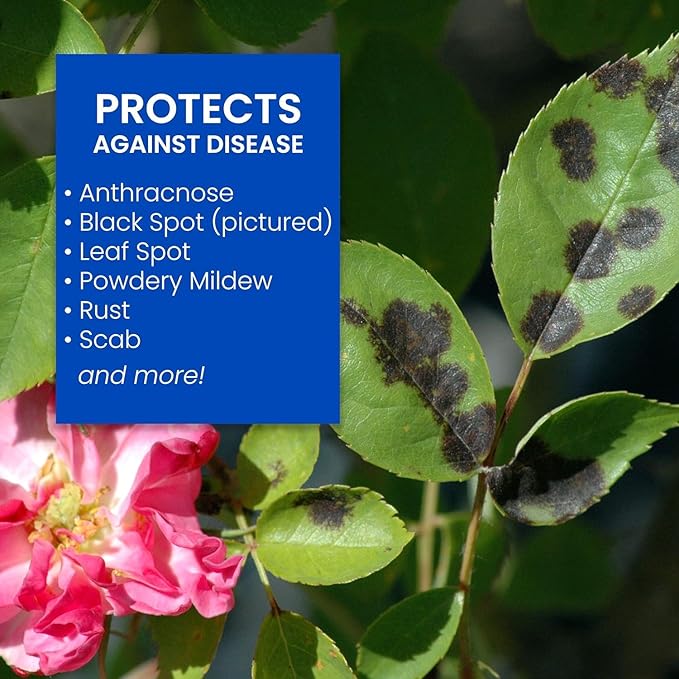 Baby Bio Houseplant Food, Concentrate, 5.9 Oz (3-Pack) with BioAdvanced 3-in-1 Insect, Disease and Mite Control, Ready-to-Use, 24 oz