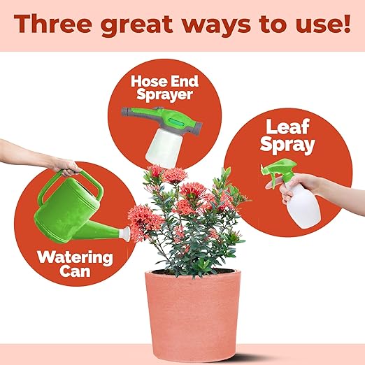 Ixora Fertilizer – Liquid Plant Food for More Blooms, Rich Green Leaves & Stronger Root Development, 32 oz