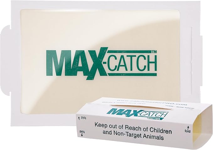 Catchmaster Max-Catch Mouse & Insect Glue Trap 72PK, Mouse Traps Indoor for Home, Sticky Pest Control Adhesive Tray for Catching Bugs, Bulk Unscented Glue Boards