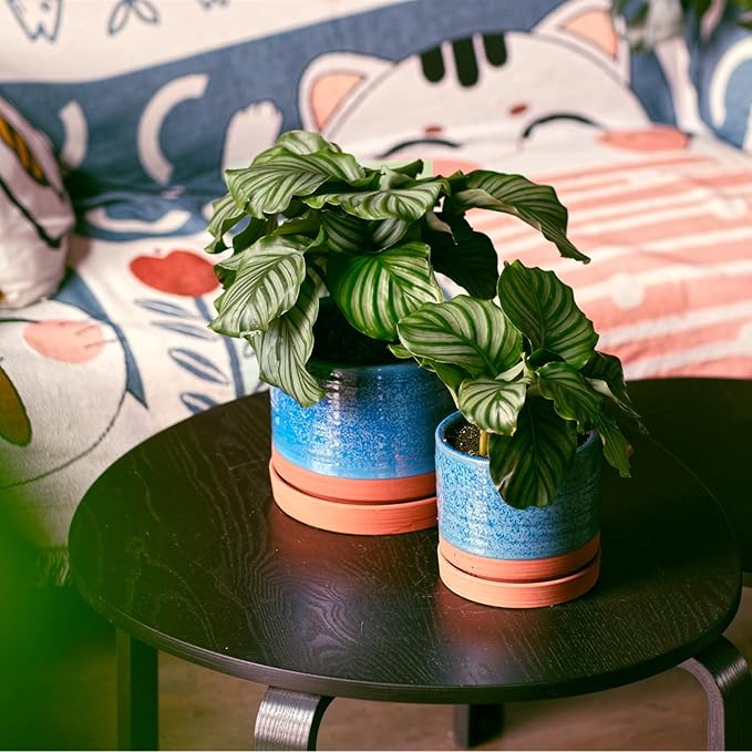 HERDUK 6 + 8 Inch Plant Pots, Ceramic Planter Pot with Drainage Hole & Saucer, Indoor/Outdoor Cylinder Round Planter Pot, Aqua Blue & Terracotta