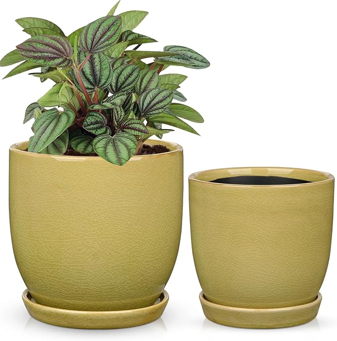 GnFlus Ceramic Plant Pots 5 Inch + 4 Inch Set of 2, Flower Plants Pot with Drainage Holes and Saucers Tray Planter Garden Pot for Succulent Cactus Home Decoration Gift Indoor Outdoor Green
