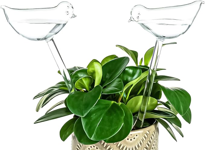 Kingbuy Self Watering Globes Plant Waterer Device Bird Shape Hand Blown Clear Glass Bulb for Indoor or Outdoor Plants, 4 Pack