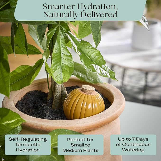 Rosy Soil Indoor Plant Parent Gift Set for Mother's Day - Houseplant Potting Soil with Modern Sprout Terracotta Watering Bulb, Soil Scoop, Plant Brush & Tweezers