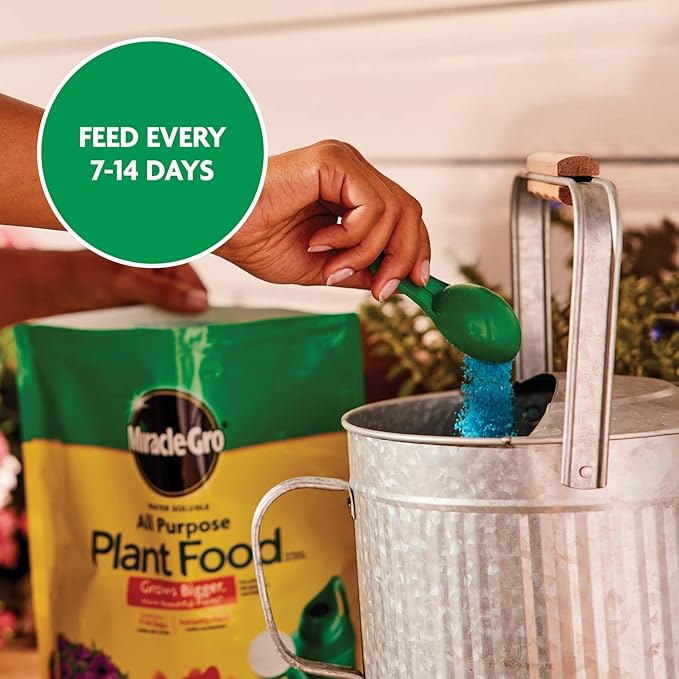 Miracle-Gro Water Soluble All Purpose Plant Food - Fertilizer For All Indoor or Outdoor Plants including Roses, Flowers, Vegetables, Houseplants, Trees, and Shrubs, 5 lb. Bag