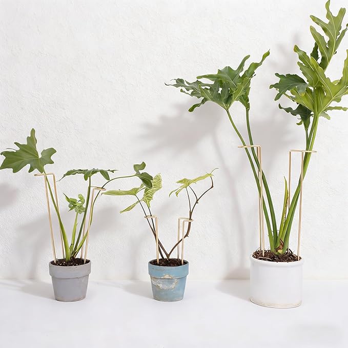 8.7 Inch Indoor Plant Trellis -10 Pack Small Gold Plant Supports for Outdoor Plants, Monstera Trellis Stakes & Stem Holders, Durable Iron Garden Flower Support for Young Plant Growth