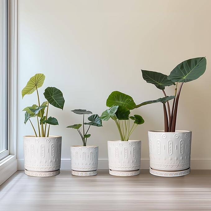 Eightpot Ceramic Planter, 6 Inch Pot for Plants with Drainage Holes and Tray, Round Plant Pots for Indoor Outdoor Plants, Boho Decorative Flower Pots, Home Room Decor, Gifts for Women, White