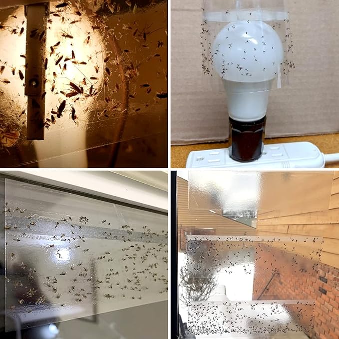 LFSYS 50 Pack Window Fly Trap, Fruit Fly Traps for Indoors, Fly Paper Sticky Strips, Fly Traps for Indoors Clear