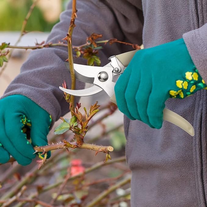 Therwen 12 Pcs Garden Shears Flower Scissors Pruning Shears Floral Garden Clippers Hand Pruners Branch Cutter Gardening Tools for Plants Cutting, Trimming, Fruits Picking (Beige,Bypass, Straight)