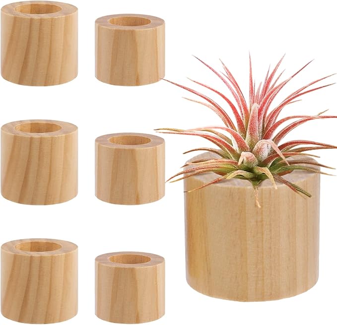 Bigmeta 6 Pcs Wood Air Plant Holder - 1.2" & 1.4" Rustic Style Airplant Display Stands for Women Gifts