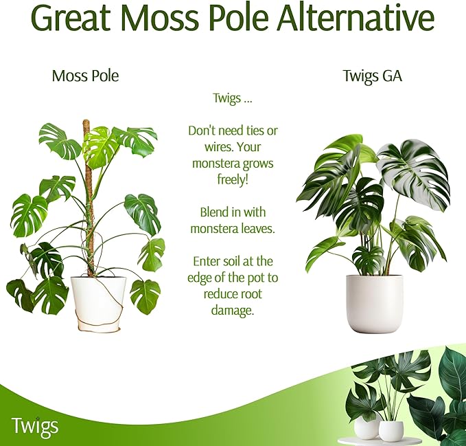 Twigs GA - Stackable Monstera Plant Support Stakes, Climbing Support for Indoor & Outdoor Use, Plant Accessories, Aesthetic Alternative to Moss Poles & Trellises – Monstera Green, 5 Pack, 17" L