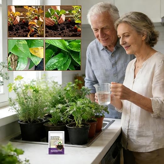 Rooting Powder for Cuttings, with Important Early Growth Support, 35g, Root Growth Stimulator Plant Booster, Indoor Plant Fertilizer, Promotes Healthy Stem, for Citrus, Vegetables, Orchids