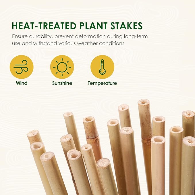 Cambaverd Bamboo Sticks for Plants 2 Feet Bamboo Stakes for Indoor Gardening Plant Stakes Supports Potted Plants Mini Trees Garden Stakes - Pack of 30 Bamboo Poles