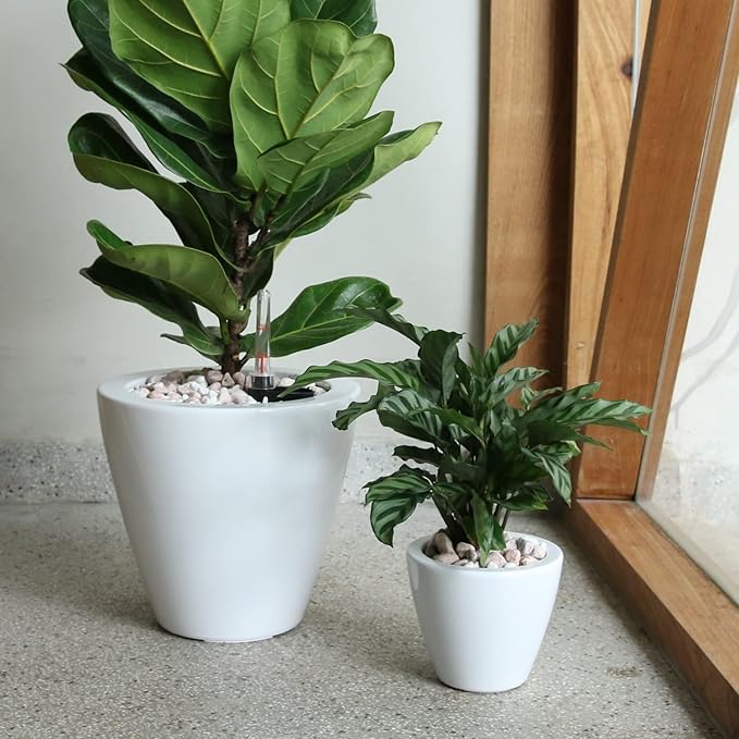 Set of 2, Smart Self-Watering Planters for Indoor and Outdoor - Round, White