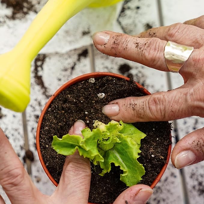 Doter Organic Vegetable Soil Mix 1qt, Indoor Plants Potting Mix for All Potted Vegetable Like Tomatoes Lettuce Bell Peppers, Grow Healthy houseplants Indoors