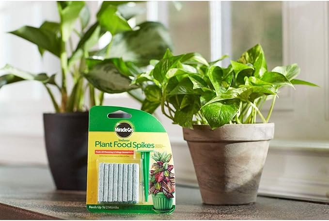 Miracle-Gro Indoor Plant Food Spikes, Includes 24 Spikes - Continuous Feeding for all Flowering and Foliage Houseplants - NPK 6-12-6