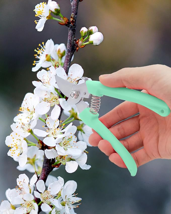 Pruning Shears for Gardening, 2 Pack Garden Scissors for Cutting Fresh Flowers, Floral Clippers for Plants, Fruits (Green)