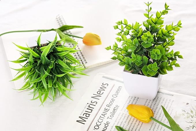 Der Rose 2 Pack Small Fake Plants Mini Artificial Potted Plants for Table Desk Home Bathroom Office Decor