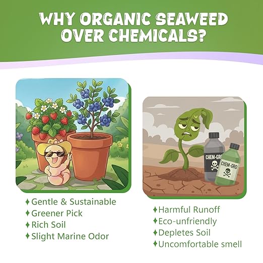Organic Berry Fertilizer, OMRI Listed Concentrated Liquid Seaweed Extract, 2oz Kelp Plant Food Nutrient Boost Ideal for All Berries Bush Strawberry Blueberry Healthy Growth