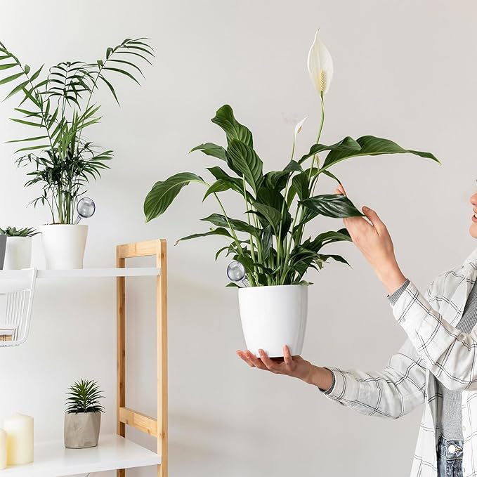 Self Watering Globes for Plants - Automatic Watering Bulbs for Indoor & Outdoor Potted Plants, Vacation Plant Care, Water Conservation Device