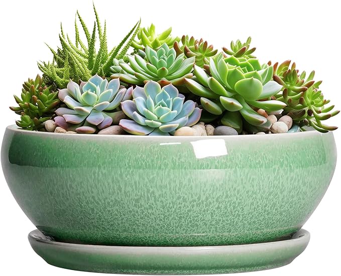 SQOWL Succulent Planter 12 Inch - Ceramic Bonsai Pots with Drainage Hole and Saucer, Large Shallow Planter, Bowl Round Planter for Indoor Outdoor Plants Flower, Room Decor, Birthday Gifts, Green
