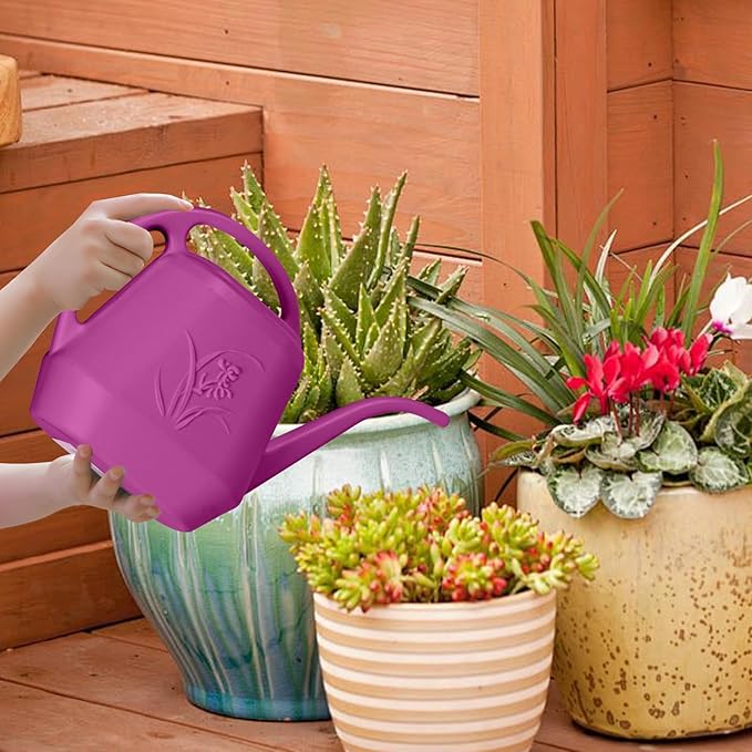Plastic Watering Can - for Indoor and Outdoor Home Garden Plants - with Long Spout - Rose Red - 1/2 Gallon