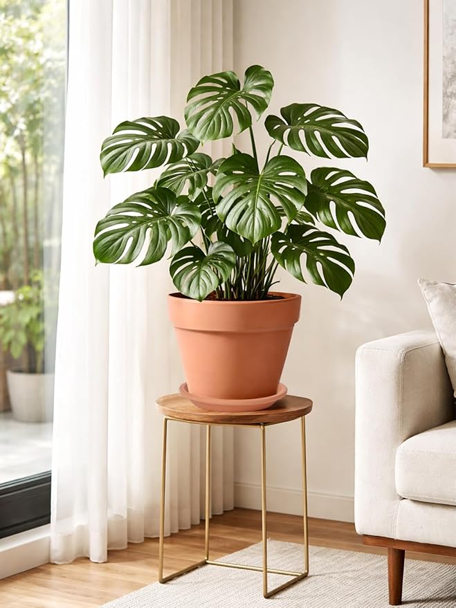 INGOFIN Terracotta Pot with Saucer - 10 Inch Ceramic Clay Pot for Plants with Drainage Hole, Large Terra Cotta Flower Planter with Tray for Indoor Outdoor Plants