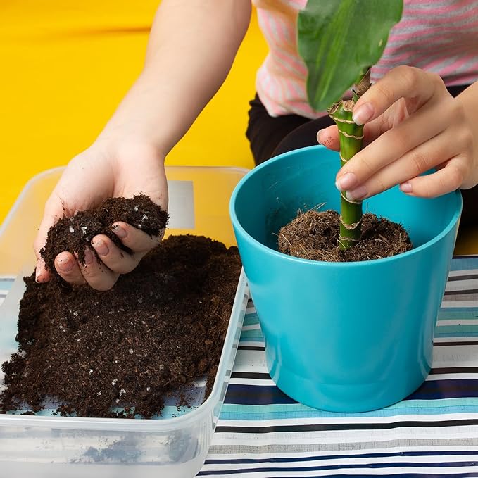 Doter Premium Lucky Bamboo Soil Mix 1qt, Indoor Plants Potting Mix for All Potted Luncky Bamboo, Promote Healthy Growth and Longevity