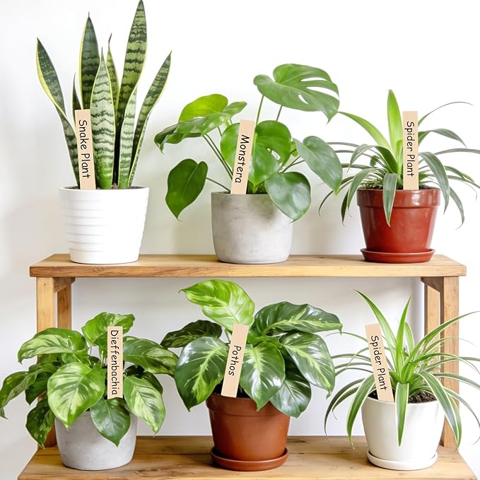KINGLAKE 50 Pcs 6" Wood Plant Labels,Wooden Garden Plant Tags,Wooden Plant Labels Waterproof Garden Plant Markers,Garden Labels Sticks,Garden Name Stakes for Plants,Vegetable Garden