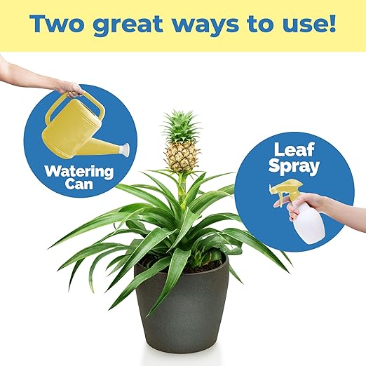 Pineapple Fertilizer – Liquid Plant Food for Bigger Fruit, Stronger Root Development & Healthy Tropical Growth, 32 oz