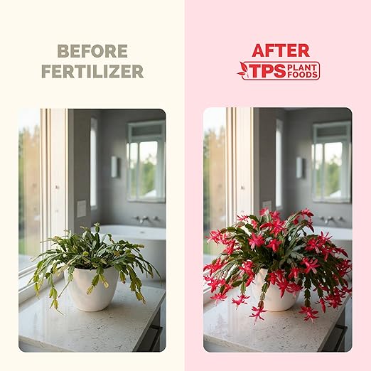 Christmas Cactus Fertilizer – Liquid Plant Food for More Blooms, Brighter Flower Color & Stronger Root Development, 32 oz