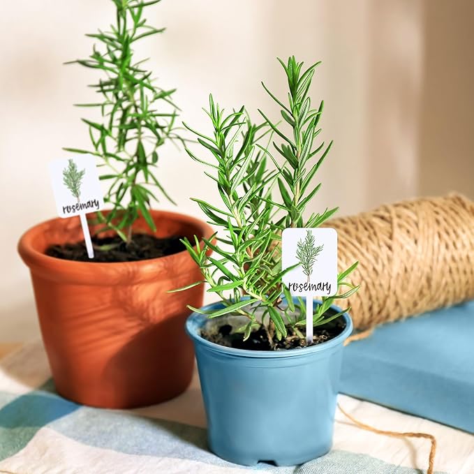 Whaline 24Pcs Acrylic Plant Label Signs 12 Styles Planted Herb Garden Markers Waterproof Plant Stake Tags with Herb Names for Nursery Indoor Outdoor Garden Decoration