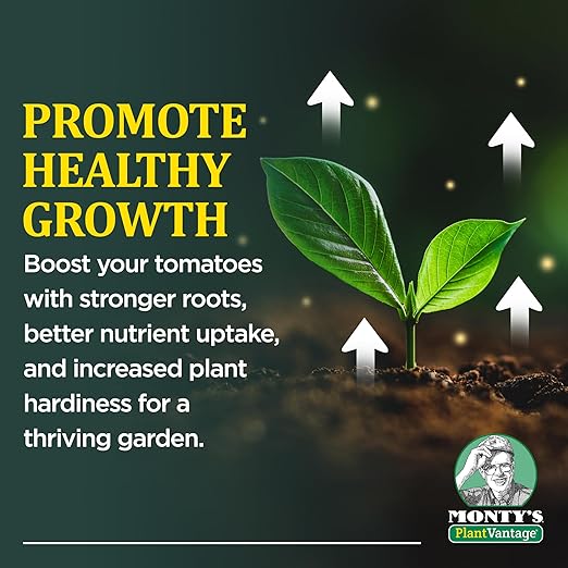 PlantVantage Concentrated Tomato Plant Fertilizer – Liquid Fertilizer with Humic Acid & Zinc, Liquid Tomato Food for Strong Roots, Bigger Blooms & Higher Yields, Easy Root Feed or Foliar Spray – 1 Gal