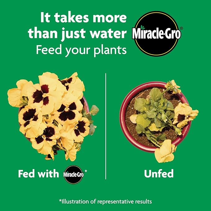 Miracle-Gro Shake 'N Feed All Purpose Plant Food - Outdoor and Indoor Plant Food for In-Ground and Containers, Feeds for up to 3 Months, 8 lbs.