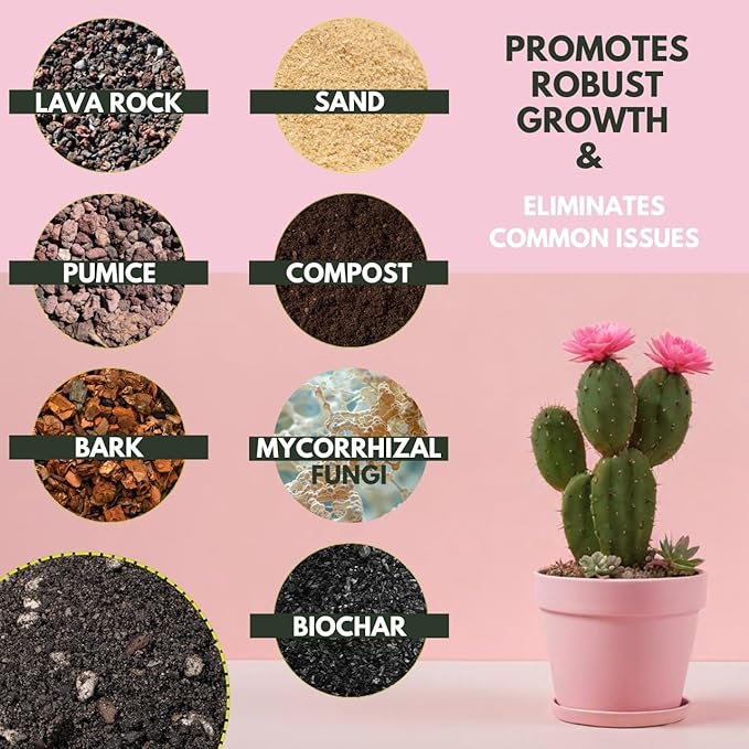 The Soil Sage 2.5 Dry Qt Cactus & Succulent Potting Soil Mix, USA Made - Gritty, Fast Draining, Soilless, Root Boosting, Peat-Free - Growth of Cactus, Succulents, Jade, Aloe Vera